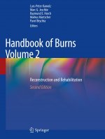 Handbook of Burns Volume 2: Reconstruction and Rehabilitation
