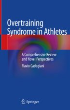 Overtraining Syndrome in Athletes: A Comprehensive Review and Novel Perspectives