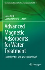 Advanced Magnetic Adsorbents for Water Treatment: Fundamentals and New Perspectives