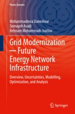 Grid Modernization ─ Future Energy Network Infrastructure: Overview, Uncertainties, Modelling, Optimization, and Analysis