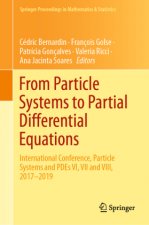 From Particle Systems to Partial Differential Equations: International Conference, Particle Systems and Pdes VI, VII and VIII, 2017-2019