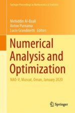 Numerical Analysis and Optimization