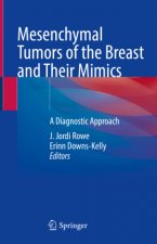 Mesenchymal Tumors of the Breast and Their Mimics: A Diagnostic Approach