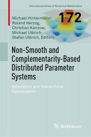 Non-Smooth and Complementarity-Based Distributed Parameter Systems