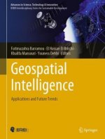 Geospatial Intelligence: Applications and Future Trends