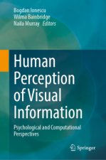 Human Perception of Visual Information