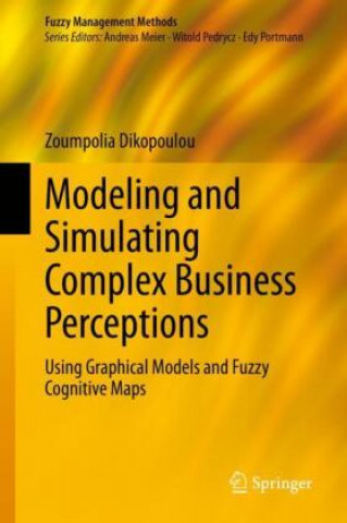 Modeling and Simulating Complex Business Perceptions