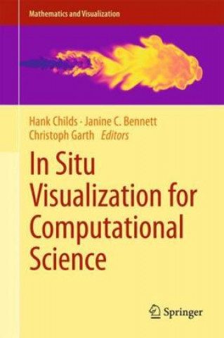In Situ Visualization for Computational Science