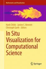 In Situ Visualization for Computational Science
