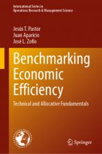 Benchmarking Economic Efficiency