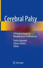 Cerebral Palsy in Children: A Practical Guide for Professionals