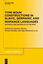 Type Noun Constructions in Slavic, Germanic and Romance Languages: Semantics and Pragmatics on the Move