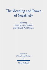 Meaning and Power of Negativity