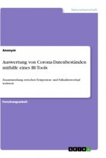 Auswertung von Corona-Datenbeständen mithilfe eines BI-Tools