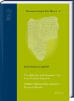 The Akkadian and Sumerian Texts from Ortakoy-Sapinuwa: Ortakoy-Sapinuwa'dan Akadca Ve Sumerce Metinler