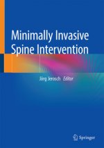 Minimally Invasive Spine Intervention