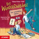Die Wunderzwillinge 01. Der unheimliche Mieter