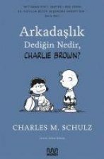 Arkadaslik Dedigin Nedir, Charlie Brown