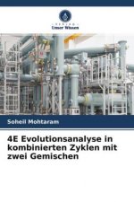 4E Evolutionsanalyse in kombinierten Zyklen mit zwei Gemischen