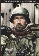 Axis Forces 19