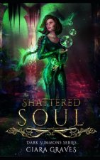 Shattered Soul: A Mermaids versus Hunters Academy Story