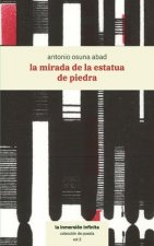 mirada de la estatua de piedra