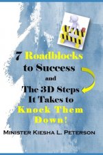 7 Roadblocks To Success And The 3D Steps It Takes To Knock Them Down