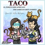 Taco