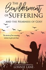 Bewilderment of Suffering