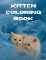 Kitten Coloring Book