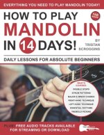 How to Play Mandolin in 14 Days