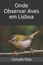 Onde Observar Aves em Lisboa