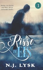 Risse im Eis 1