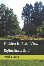 Hidden In Plain View
