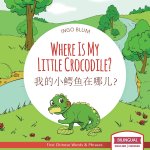 Where Is My Little Crocodile? - 我的小鳄鱼在哪儿？: Bilingual Children's Book Chinese English wi