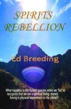 Spirits Rebellion