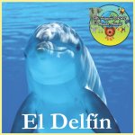 Delfin
