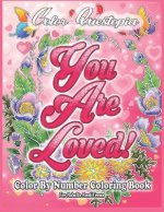 Color By Number Coloring Book For Adults and Teens
