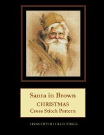 Santa in Brown