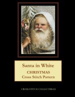 Santa in White