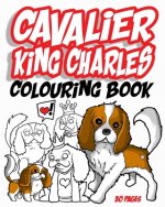 Cavalier King Charles Colouring Book