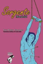 Manantial: Sorgente