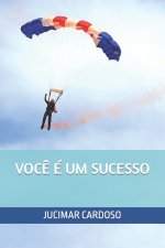 Voc? É Um Sucesso