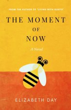 Moment of Now