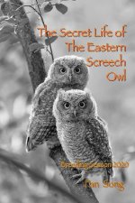 Secret Life of Eastern Screech Owl