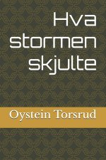 Hva stormen skjulte