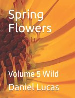 Spring Flowers