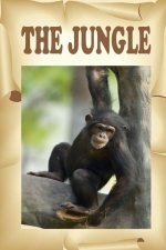 Jungle