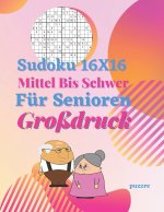 Sudoku 16x16 Für Senioren Mittel Bis Schwer Großdruck: Denksport Sudoku Irregulär