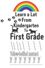 Learn a Lot From Kindergarten to First Grade: Tracing Shapes Alphabet Animals